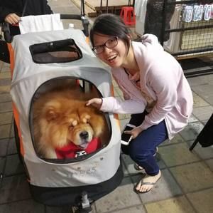 Meet your Posher, Donna